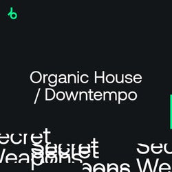Secret Weapons 2021: Organic House/Downtempo