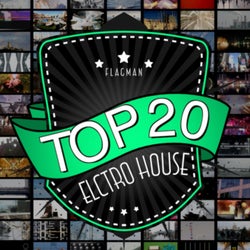Flagman Top 20 Electro House