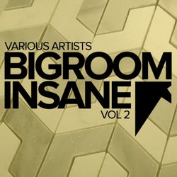 Bigroom Insane, Vol.2