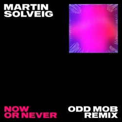 Now Or Never (Odd Mob Extended Mix)