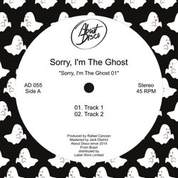 Sorry, I'm The Ghost 1