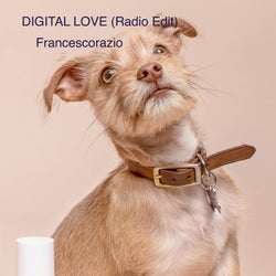 Digital Love (Radio Edit)