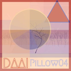 Pillow 04