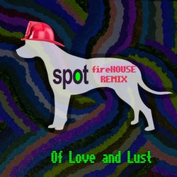 Spot (Firehouse Remix)