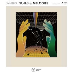 Synths, Notes & Melodies Vol. 13