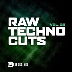 Raw Techno Cuts, Vol. 06