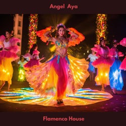 Flamenco House (Radio Edit)