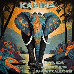 Karima (DJ Industrial Badger's Madness Mix)