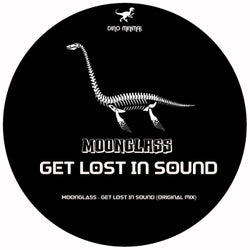 Get Lost In Sound