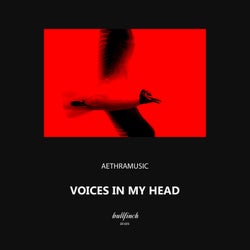 Voices in My Head