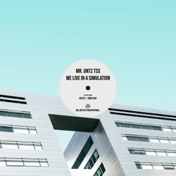 We Live in a Simulation