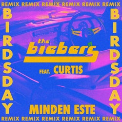 Minden este (feat. Curtis) [Birdsday Remix]