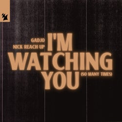 I'm Watching You (So Many Times)