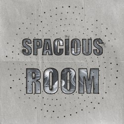 Spacious Room, Vol. 12
