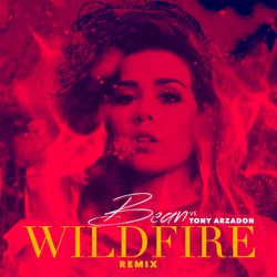 Wildfire (Tony Arzadon Remix) - Single