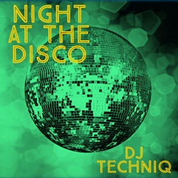 Night At The Disco