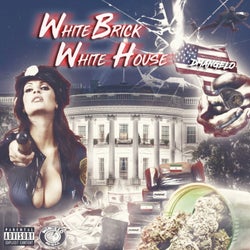White Brick White House