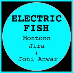 Electric Fish