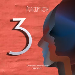 Countless Perceptions 3