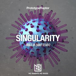 Singularity (Rule Of Eight Remix)