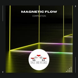 Magnetic Flow