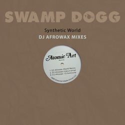 Synthetic World - DJ Afrowax Mixes