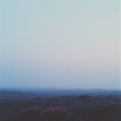 Fog