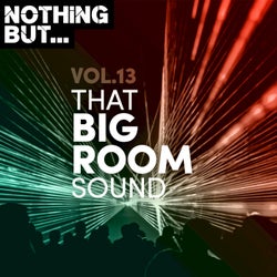 Nothing But... That Big Room Sound, Vol. 13