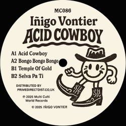 Acid Cowboy