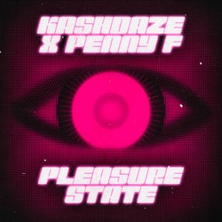 Pleasure State (Extended Mix)