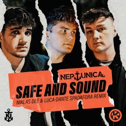 Safe and Sound (Niklas Dee & Luca-Dante Spadafora Extended Remix)
