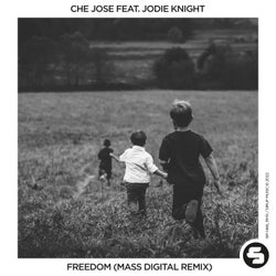 Freedom (Mass Digital Remix)