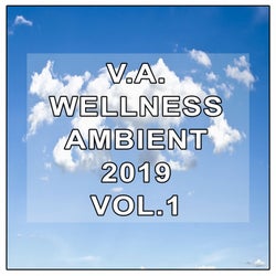 Wellness Ambient 2019, Vol. 1