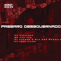 Passaro Desgovernado
