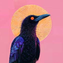 Currawong