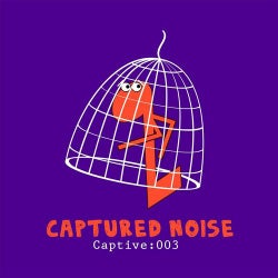 Captive: 003