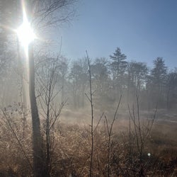 Bekken Hitte