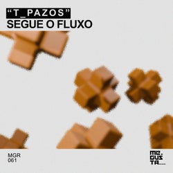 Segue O Fluxo