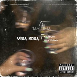 Vida Boa (feat. Vozom & BillyDmG) [Radio Edit]