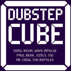 Dubstep Cube 13-2