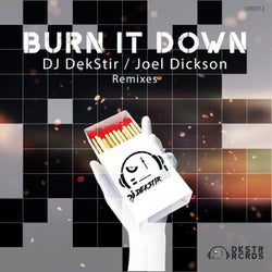 Burn It Down Remixes (feat. Joel Dickson)