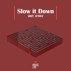 Slow it Down