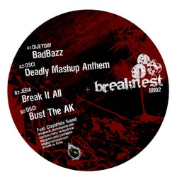 Breaknest Records 02