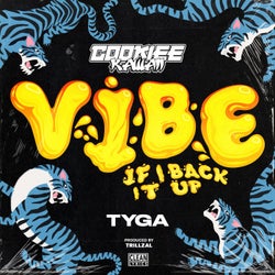 Vibe (If I Back It Up)
