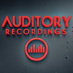 AUDITORY RECORDINGS TOP 10 (2015 SELECTION)