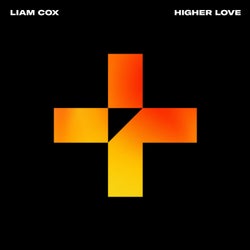 Higher Love (Extended Mix)