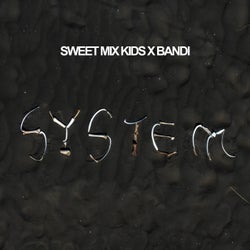 System