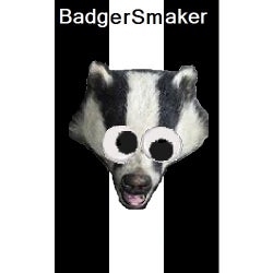 BADGER BANGERS: WEEK 14 2014