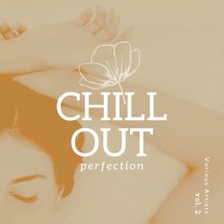 Chill Out Perfection, Vol. 2