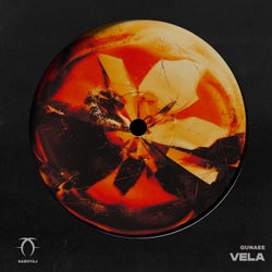 Vela
